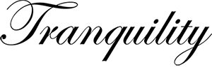 Partner 2